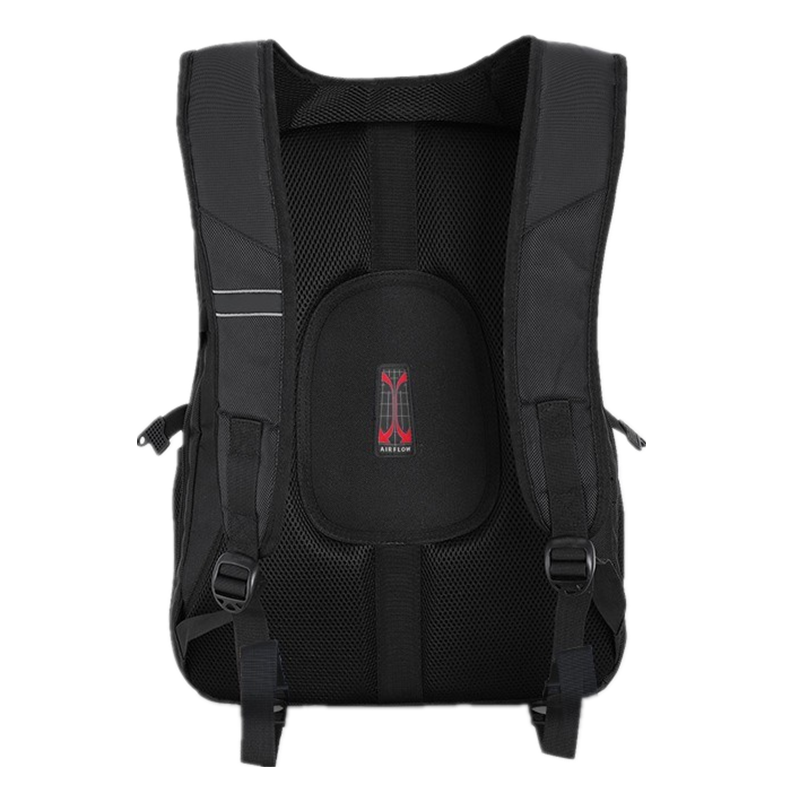 Padded Business Laptop Backpack