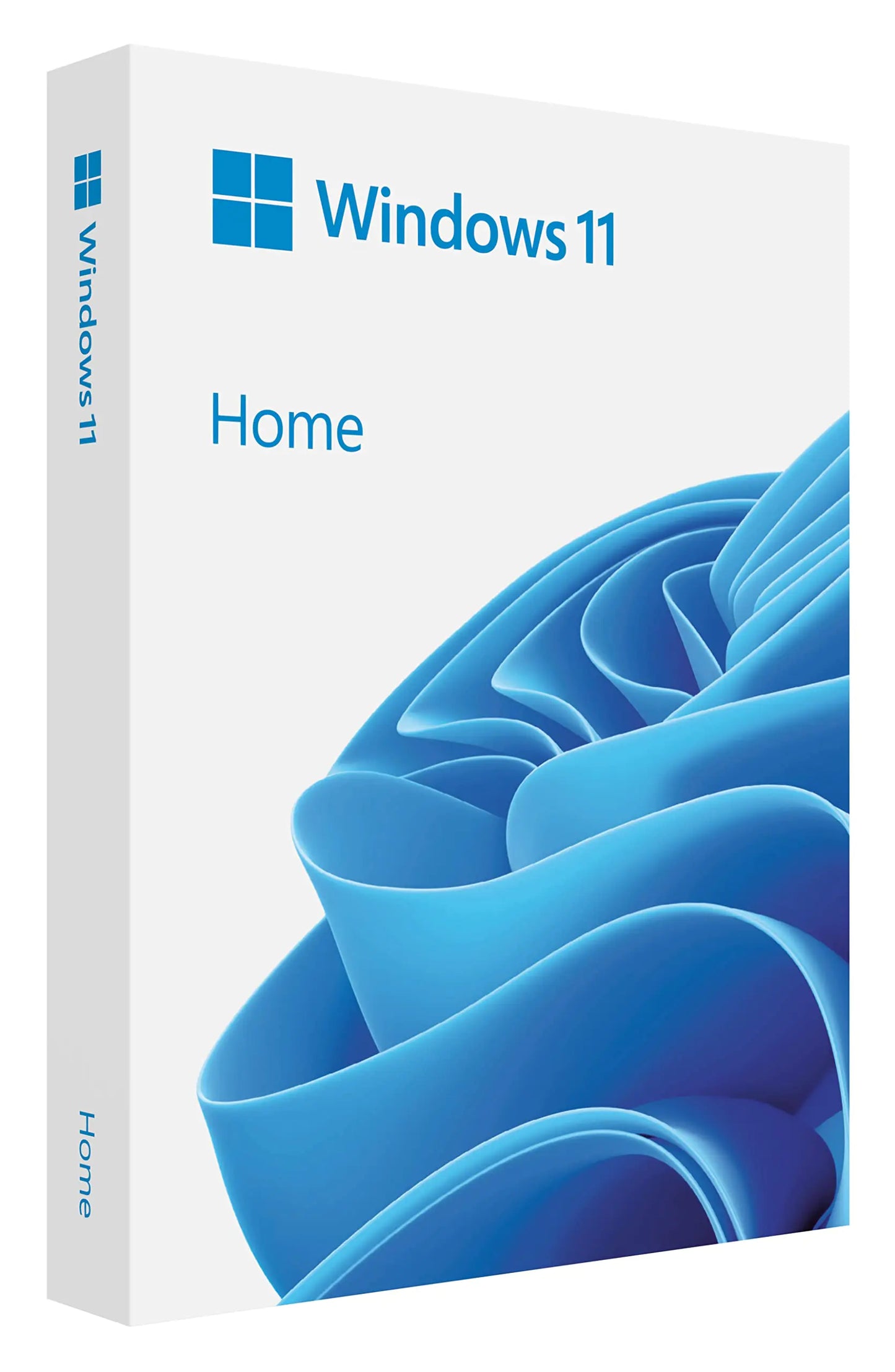 Microsoft Windows 11 - Home Edition (USB)